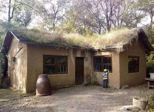 住房在進(jìn)步—時(shí)代呼喚環(huán)保建筑在廣大農(nóng)村大展身手(圖3) 土墻屋